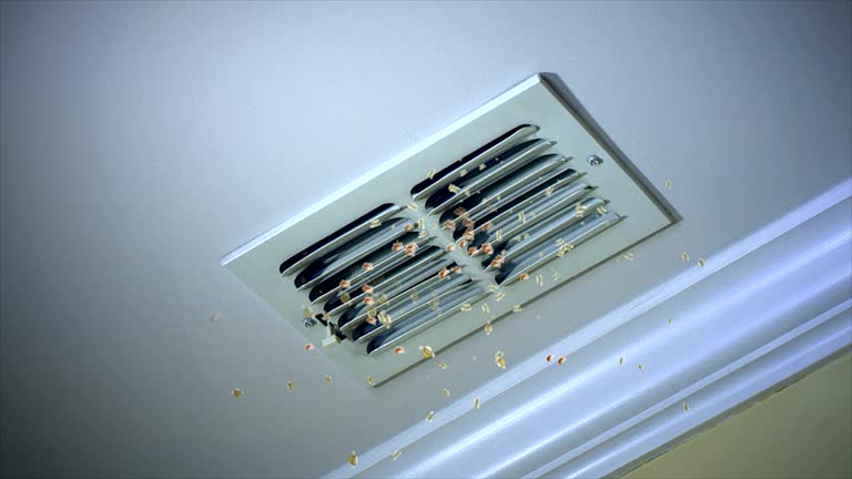 Best Air Duct Cleaning Near Me  in Spearman, TX