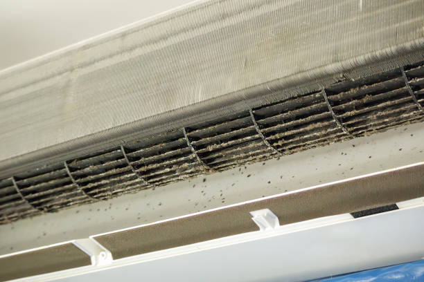 Best Affordable Air Duct Cleaning  in Spearman, TX